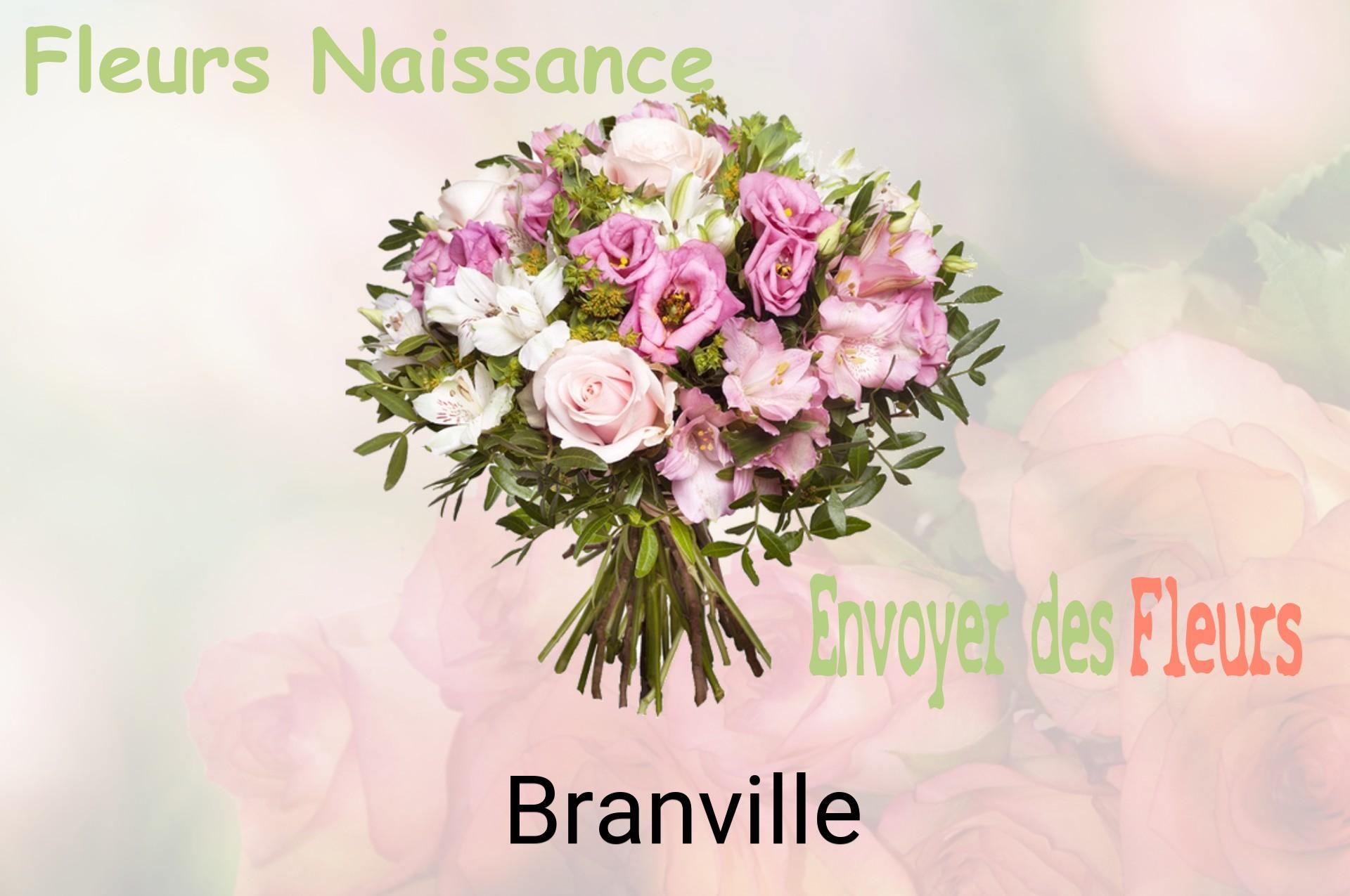 Bouquet de fleurs de naissance livré à Branville